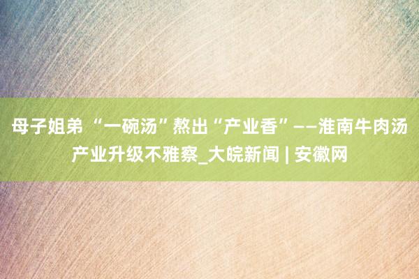 母子姐弟 “一碗汤”熬出“产业香”——淮南牛肉汤产业升级不雅察_大皖新闻 | 安徽网