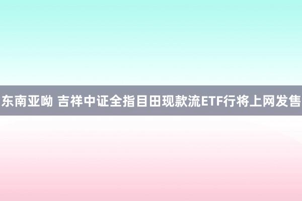 东南亚呦 吉祥中证全指目田现款流ETF行将上网发售
