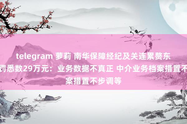 telegram 萝莉 南华保障经纪及关连累赘东谈主被罚悉数29万元：业务数据不真正 中介业务档案措置不步调等