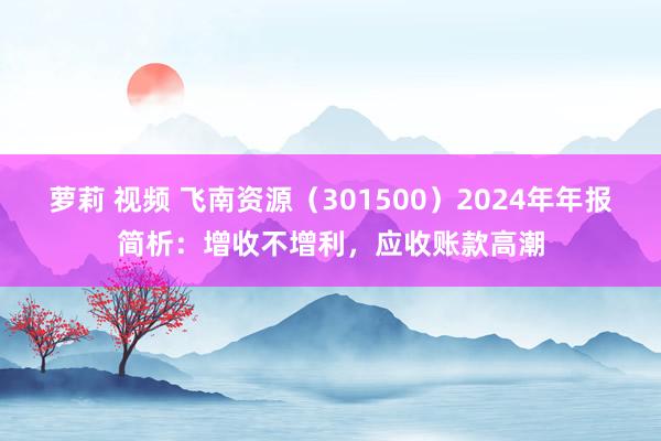 萝莉 视频 飞南资源（301500）2024年年报简析：增收不增利，应收账款高潮
