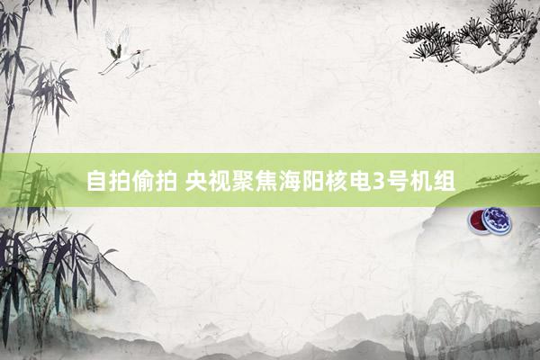 自拍偷拍 央视聚焦海阳核电3号机组