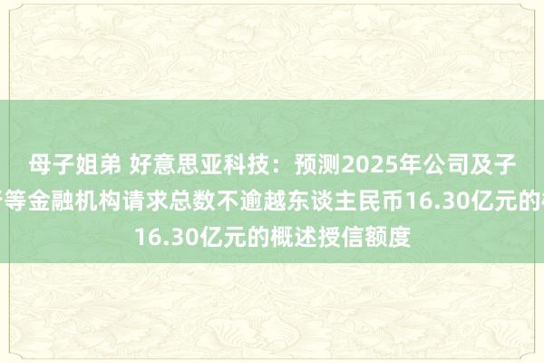母子姐弟 好意思亚科技：预测2025年公司及子公司拟向银行等金融机构请求总数不逾越东谈主民币16.30亿元的概述授信额度