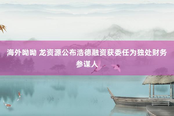 海外呦呦 龙资源公布浩德融资获委任为独处财务参谋人