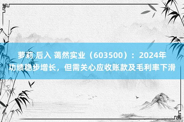 萝莉 后入 蔼然实业（603500）：2024年功绩稳步增长，但需关心应收账款及毛利率下滑