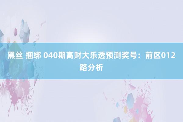 黑丝 捆绑 040期高财大乐透预测奖号：前区012路分析